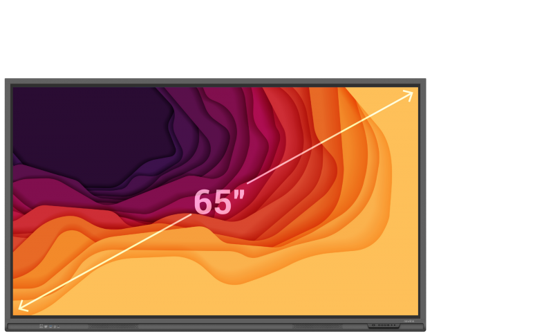 Newline_Lyra_Display_All_Sizes_65-